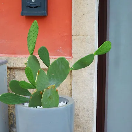 Appartement Domus Athena *